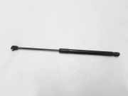 Heckklappe Gasdruckfeder rechts RENAULT MEGANE III Hatchback (BZ0_) 1.5 dCi (KZ09, KZ0D, KZ1G, KZ1M, KZ1W) 844300009R