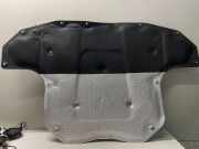 Polster der Motorhaube MERCEDES-BENZ E (W213) AMG E 63 S 4-matic+ (213.089) A2136829100