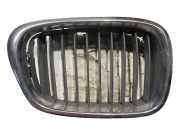 Vorderer oberer Gitter BMW 5 Touring (E39) 530 d 2497262