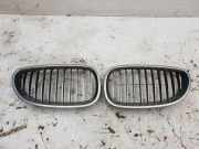 Vorderer oberer Gitter BMW 5 (E60) 530 d 10623110