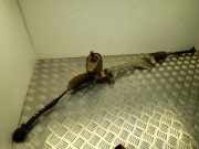 Lenksäule NISSAN LEAF (ZE0) Electric 3NA0BVA