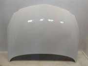 Motorhaube OPEL INSIGNIA A (G09) 1.6 CDTi (68)