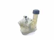 Ausgleichsbehälter RENAULT MEGANE II Coupé-Cabriolet (EM0/1_) 1.9 dCi