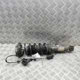 Stoßdämpfer hinten links