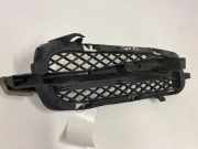 Gitter vorne unten JAGUAR XF (X250) 3.0 D 8X2315K233