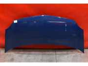 Motorhaube Renault Kangoo II Rapid (FW0)