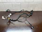 Kabel der vorderen linken Tür RENAULT KOLEOS II 2.0 dCi 175 4WD 18050225