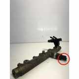 KRAFTSTOFFVERTEILER EINSPRITZLEISTE VERTEILERROHR PEUGEOT 406 (8B) 2.0 16V 0445214019