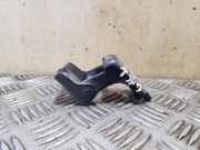 Türscharnier hinten links Renault Grand Scenic III (JZ) 804200003RH