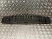 Gitter vorne unten MERCEDES-BENZ C (W204) C 320 CDI (204.022) A2048852123