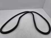 Türgummi rechts vorne Audi A3 Sportback (8V)