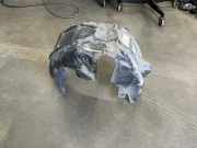 Radhaus rechts hinten Audi A3 (8V) 8V5810172C