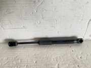 Heckklappenöffnungszylinder MAZDA MX-5 IV (ND) 1.5 N24356930A