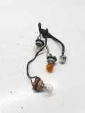 Xenon-Lampe NISSAN PATHFINDER III (R51) 2.5 dCi 4WD