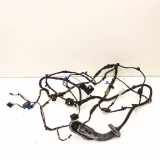 Kabel der vorderen linken Tür BMW 5 Gran Turismo (F07) 550 i 9235726