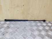 Heckklappe Gasdruckfeder links RENAULT ESPACE III (JE0_) 3.0 V6 24V (JE0G, JE0R) 6025306563B