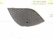 Gitter vorne unten MERCEDES-BENZ C Coupe (C205) C 250 d 4-matic (205.309) A2058855901 2058855901