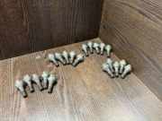 Schrauben RENAULT MASTER II Furgon (FD) 3.0 dCi 140 (HD0S, FD0S, HD1S) 8200639129