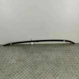 Dachreling links BMW X1 (F48) sDrive 18 d 7410465