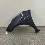 Kotflügel links vorne Kia Ceed 2 (JD)