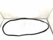 Türgummi rechts hinten BMW X6 (E71, E72) 7234933