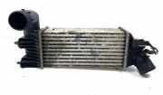 Ladeluftkühler CITROËN C5 I Break (DE_) 2.2 HDi (DE4HXB, DE4HXE) 864223EE IA1008