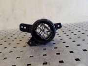 Frischluftgrill HONDA INSIGHT (ZE_) 1.3 Hybrid (ZE28, ZE2)