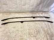 Griff Panoramadach BMW 5er Touring (E61)