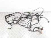 Kabelbaum NISSAN PRIMERA Estate (WP12) 2.2 Di 24014AV362