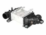 Ladeluftkühler VW TRANSPORTER VI (T6) Furgon (SGA, SGH) 2.0 TDI 04L145749M