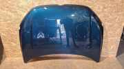 Motorhaube VW TIGUAN (AD1) 2.0 TSI 4motion MI03192