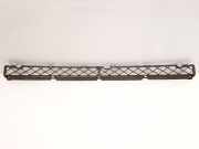 Kühlergrill unten Toyota RAV 4 II (A2) 4311242030