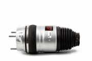 Gasdruckfeder Porsche Cayenne 2 (92A) 95834305102