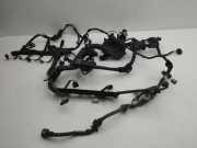 Kabel Motor Toyota C-HR (X1)