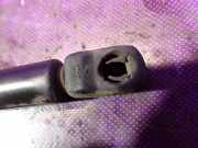 Gasfeder für Motorhaube Audi A3 (8L) 8L0823359