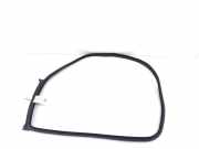 Türgummi links hinten BMW 6er Gran Coupe (F06) 7275315