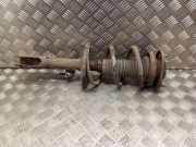 Stoßdämpfer vorne rechts TOYOTA COROLLA Verso (_E12_) 1.6 VVT-i (ZZE121_)