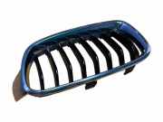 Vorderer oberer Gitter BMW 3 Touring (F31) 320 d 7263479