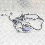 Kabel der vorderen linken Tür MASERATI GHIBLI (M157) 3.0 S Q4 6700086010 670008601