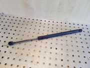 Heckklappe Gasdruckfeder links VW TOURAN (1T1, 1T2) 1.9 TDI 1T0827550C