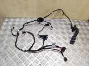 Türverkabelung hinten rechts AUDI Q5 (8R) 3.0 TDI quattro 8R0971688B