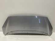 Motorhaube PEUGEOT 1007 (KM_) 1.4