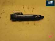 Türgriff links vorne Nissan Pathfinder III (R51) 80640EB33A