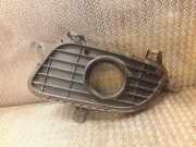 Gitter vorne unten MERCEDES-BENZ A (W169) A 160 CDI (169.006, 169.306) a1698850522 1698850522