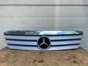 Gitter Grill vorne links MERCEDES-BENZ A (W168) A 170 CDI (168.009, 168.109) 1688800083