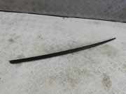 Windlauf Audi A5 Cabriolet (F57) 8W6854327B