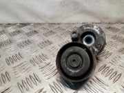 Riemenspanner NISSAN PRIMERA (P12) 1.9 dCi 071402