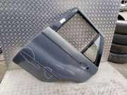 Tür hinten links BMW X5 (E53) 3.0 d