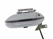 Türgriff links Honda Insight (ZE) TM8FRL