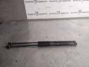 Heckklappe Gasdruckfeder links CITROËN C-CROSSER (EP_) 2.2 HDi 5802A007